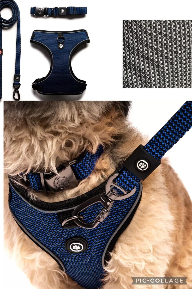 Silver Paw Dog Collar, Leash and Harness Set