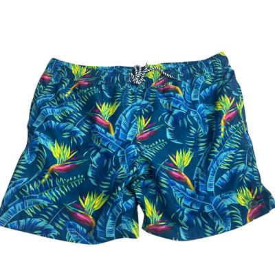 Caribbean Joe Men's Swim Board Shorts UPF 50+